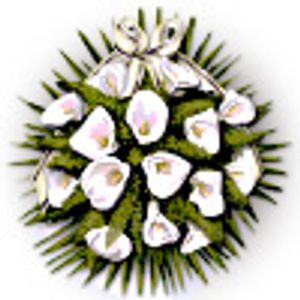 Image chosen by user