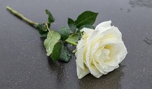 Vom User ausgewähltes Bild