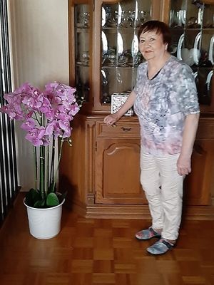 Image chosen by user