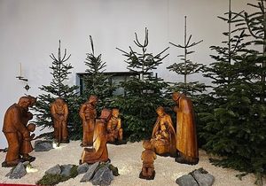 Vom User ausgewähltes Bild