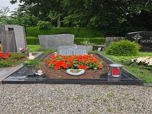 Vom User ausgewähltes Bild