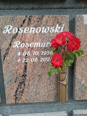 Vom User ausgewähltes Bild
