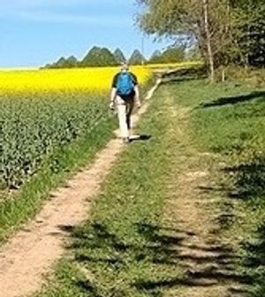 Vom User ausgewähltes Bild