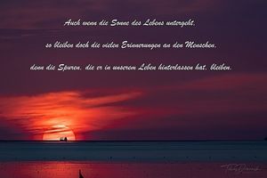 Vom User ausgewähltes Bild