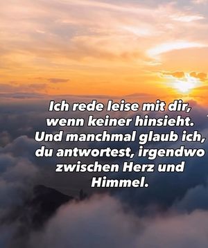 Vom User ausgewähltes Bild