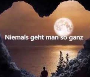 Vom User ausgewähltes Bild