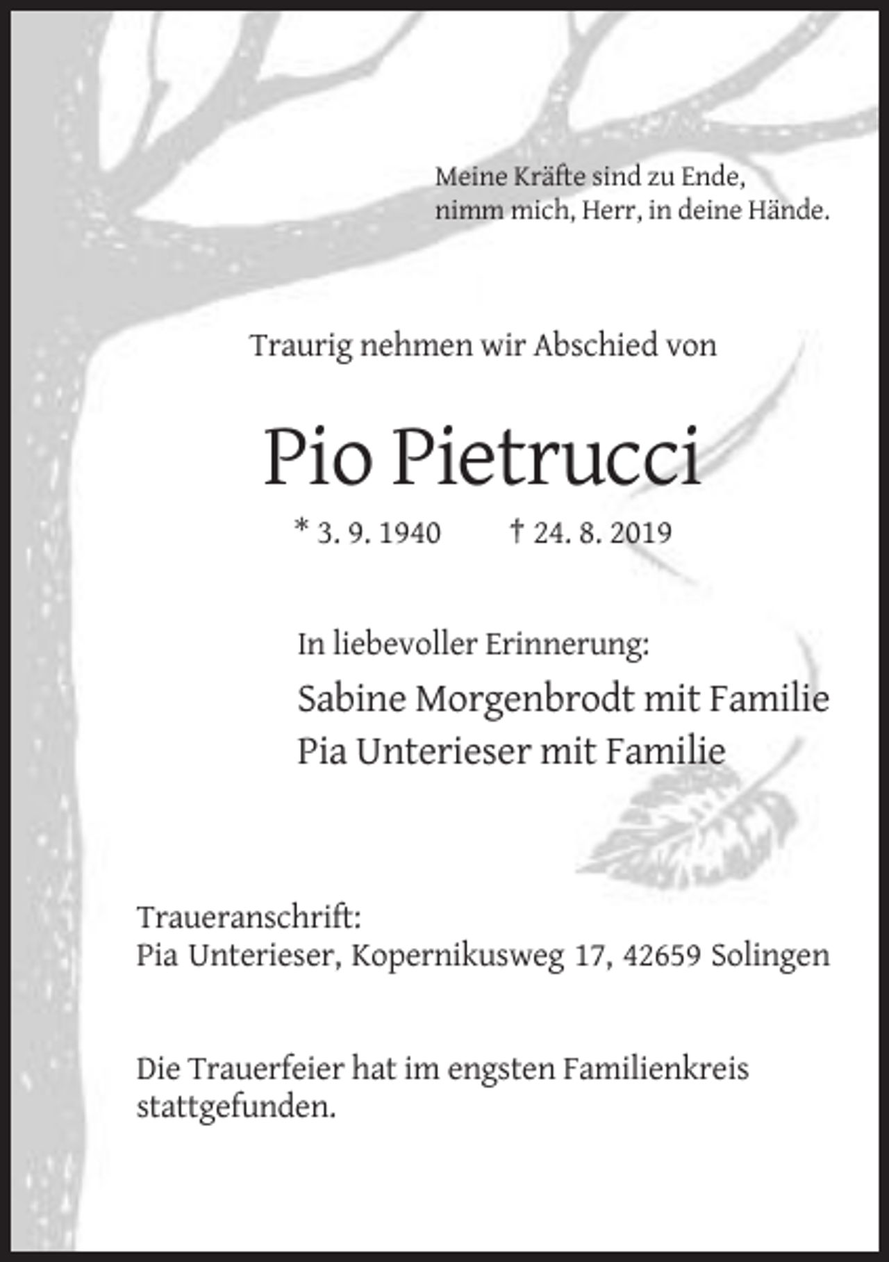 <p>Meine Kräfte sind zu Ende,<br />nimm mich, Herr, in deine Hände.</p><p>Traurig nehmen wir Abschied von</p><p>Pio Pietrucci<br />* 3. 9. 1940</p><p>† 24. 8. 2019</p><p>In liebevoller Erinnerung:</p><p>Sabine Morgenbrodt mit Familie<br />Pia Unterieser mit Familie</p><p>Traueranschrift:<br />Pia Unterieser, Kopernikusweg 17, 42659 Solingen</p><p>Die Trauerfeier hat im engsten Familienkreis<br />stattgefunden.</p>
