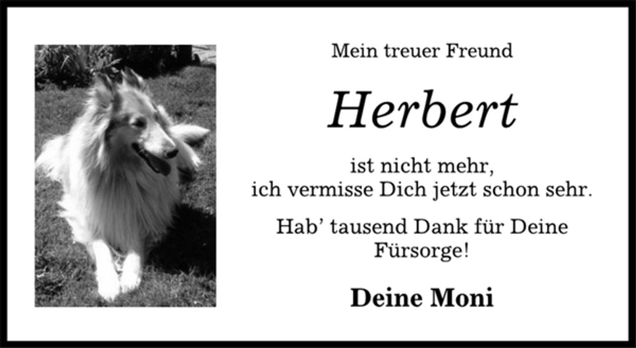 <p>Mein treuer Freund<br />Herbert<br />ist nicht mehr,<br />ich vermisse Dich jetzt schon sehr.<br />Hab’ tausend Dank für Deine<br />Fürsorge!<br />Deine Moni</p>