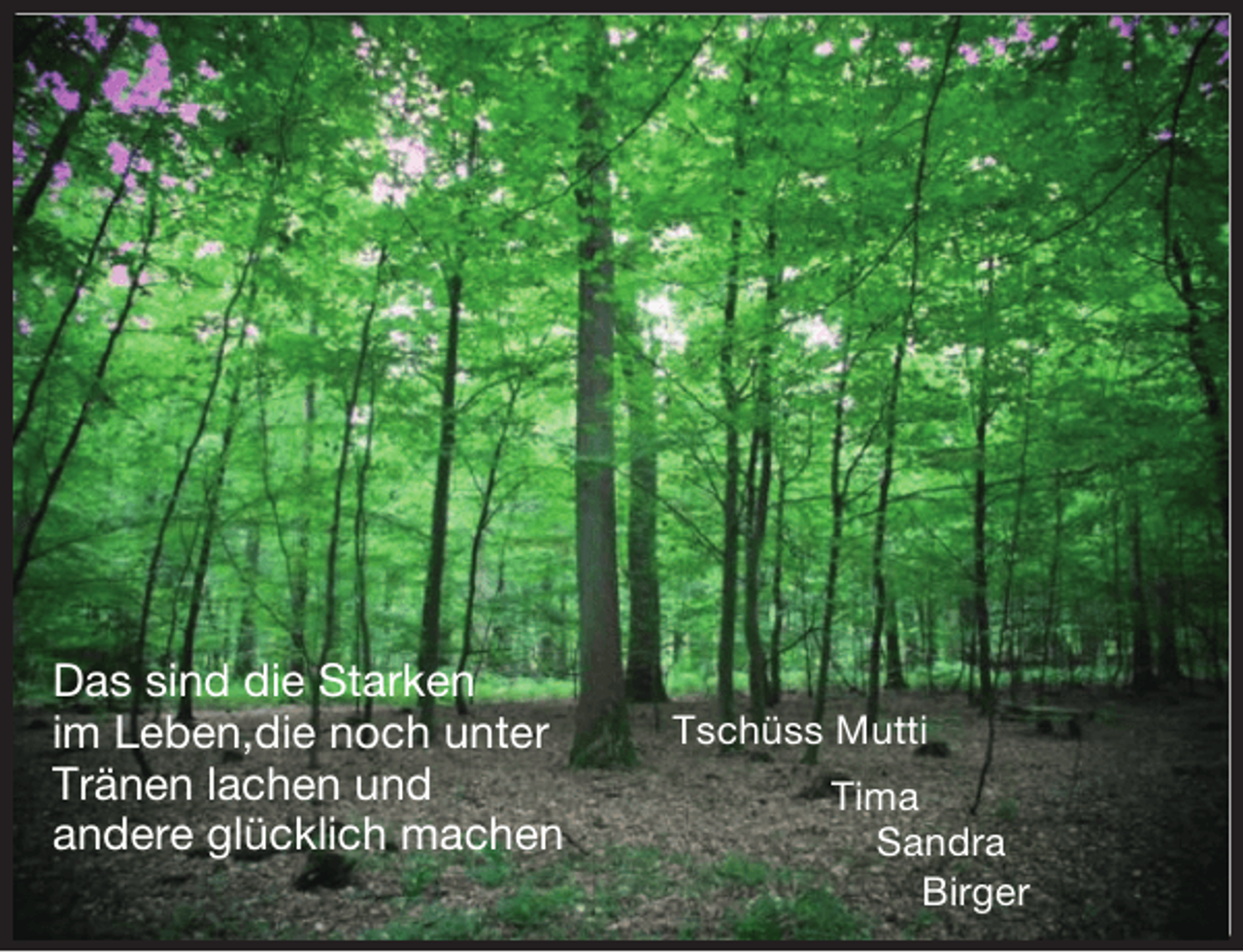 <p>Tschüss Mutti<br />Tima<br />Sandra<br />Birger</p><p>Das sind die Starken<br />im Leben,die noch unter<br />Tränen lachen und<br />andere glücklich machen</p>