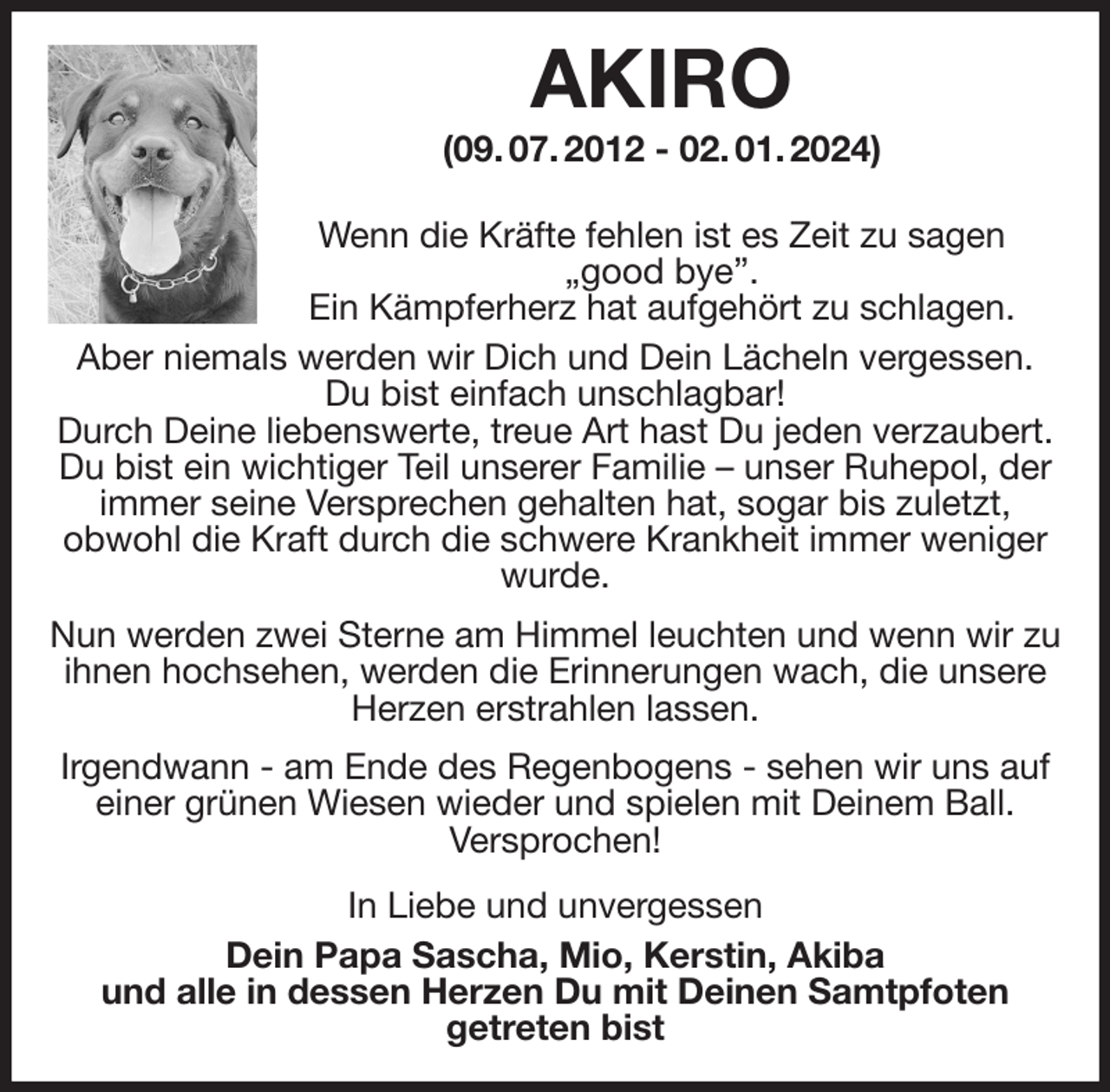 <p>AKIRO<br />(09. 07. 2012 - 02. 01. 2024)<br />Wenn die Kräfte fehlen ist es Zeit zu sagen<br />„good bye”.<br />Ein Kämpferherz hat aufgehört zu schlagen.<br />Aber niemals werden wir Dich und Dein Lächeln vergessen.<br />Du bist einfach unschlagbar!<br />Durch Deine liebenswerte, treue Art hast Du jeden verzaubert.<br />Du bist ein wichtiger Teil unserer Familie - unser Ruhepol, der immer seine Versprechen gehalten hat, sogar bis zuletzt,<br />obwohl die Kraft durch die schwere Krankheit immer weniger wurde.<br />Nun werden zwei Sterne am Himmel leuchten und wenn wir zu ihnen hochsehen, werden die Erinnerungen wach, die unsere Herzen erstrahlen lassen.<br />Irgendwann - am Ende des Regenbogens - sehen wir uns auf einer grünen Wiesen wieder und spielen mit Deinem Ball.<br />Versprochen!<br />In Liebe und unvergessen<br />Dein Papa Sascha, Mio, Kerstin, Akiba<br />und alle in dessen Herzen Du mit Deinen Samtpfoten<br />getreten bist</p>