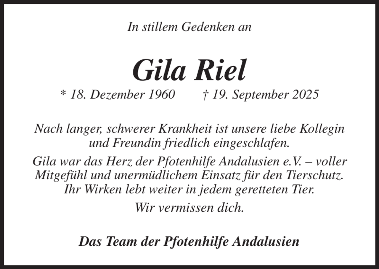<p>In stillem Gedenken an<br />Gila Riel<br />* 18. Dezember 1960 † 19. September 2025<br />Nach langer, schwerer Krankheit ist unsere liebe Kollegin und Freundin friedlich eingeschlafen.<br />Gila war das Herz der Pfotenhilfe Andalusien e.V. - voller Mitgefühl und unermüdlichem Einsatz für den Tierschutz.<br />Ihr Wirken lebt weiter in jedem geretteten Tier.<br />Wir vermissen dich.<br />Das Team der Pfotenhilfe Andalusien</p>