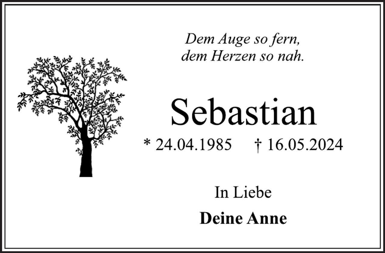 <p>---</p>