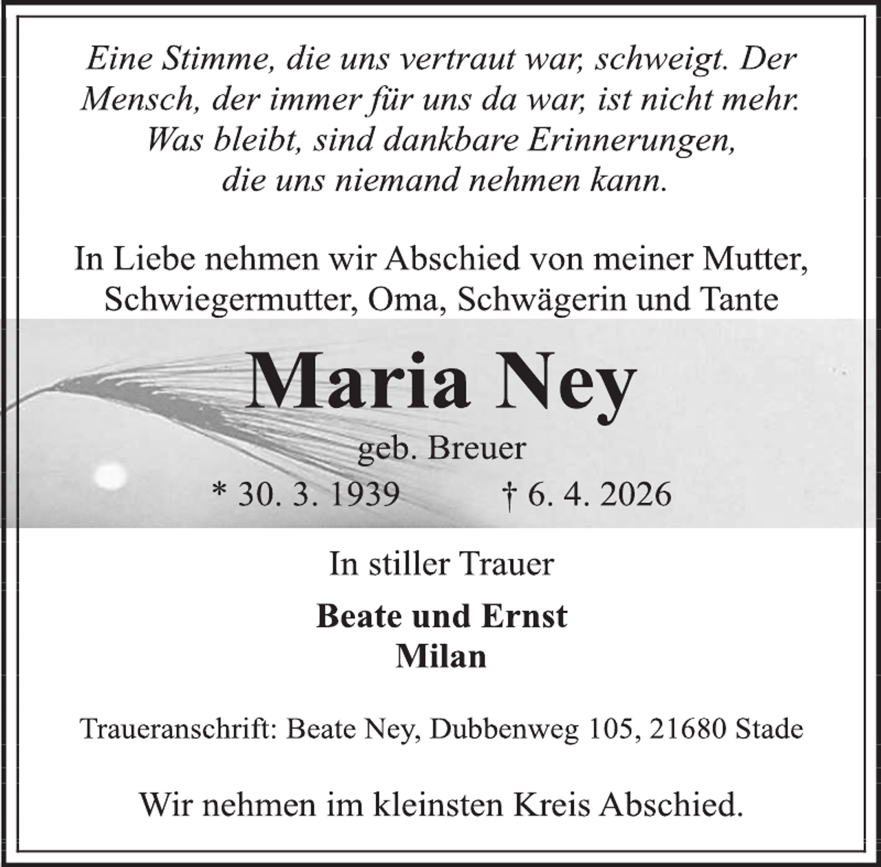 <p>---</p>