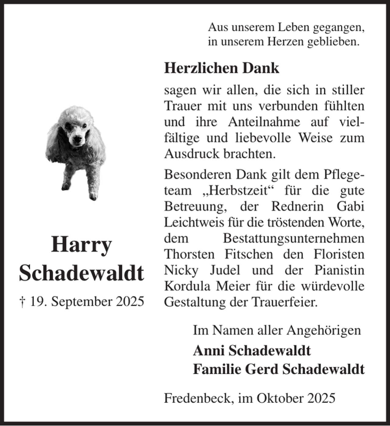 <p>Aus unserem Leben gegangen,<br />in unserem Herzen geblieben.<br />Herzlichen Dank<br />sagen wir allen, die sich in stiller Trauer mit uns verbunden fühlten und ihre Anteilnahme auf viel-<br />fältige und liebevolle Weise zum Ausdruck brachten.<br />Besonderen Dank gilt dem Pflegeteam „Herbstzeit“ für die gute<br />Betreuung, der Rednerin Gabi Leichtweis für die tröstenden Worte, dem Bestattungsunternehmen Thorsten Fitschen den Floristen Nicky Judel und der Pianistin<br />Kordula Meier für die würdevolle Gestaltung der Trauerfeier.<br />Fredenbeck, im Oktober 2025<br />Im Namen aller Angehörigen<br />Anni Schadewaldt<br />Familie Gerd Schadewaldt<br />Harry<br />Schadewaldt<br />† 19. September 2025</p>