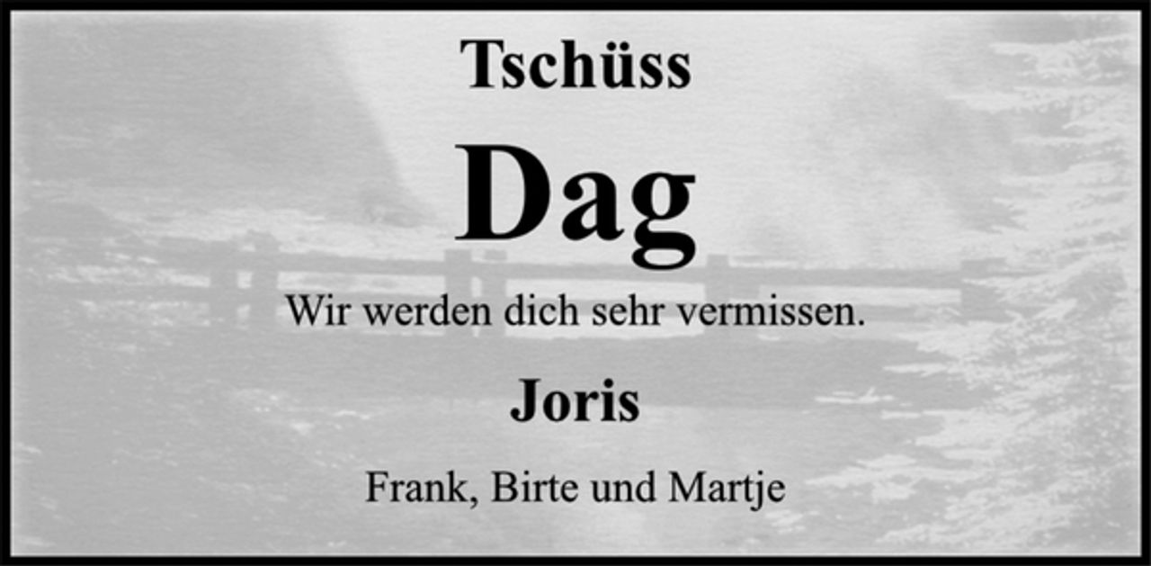 <p>Tschüss<br />Dag<br />Wir werden dich sehr vermissen.<br />Joris<br />Frank, Birte und Martje</p>