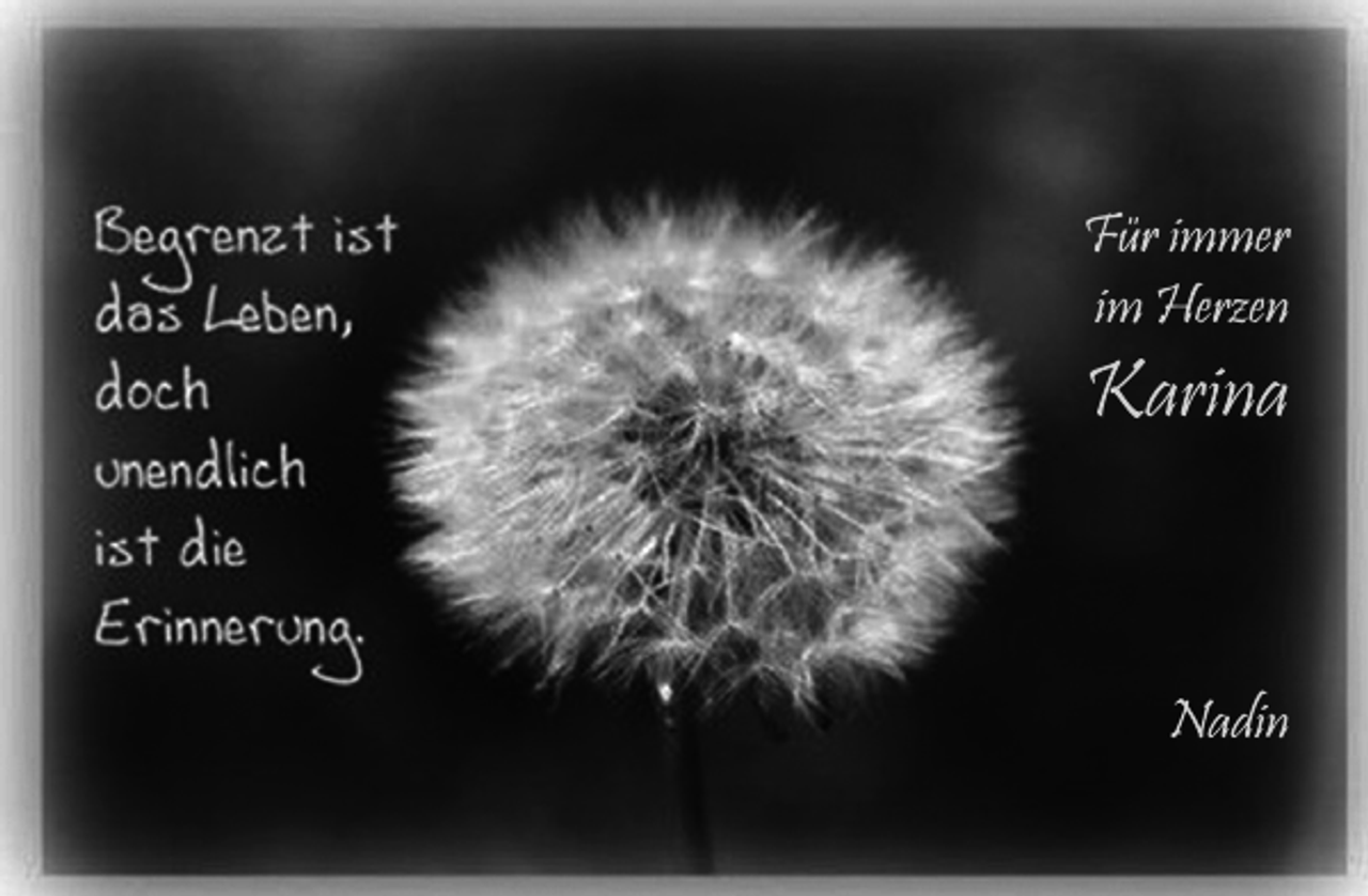 <p>Für immer im Herzen<br />Karina</p>
<p>Nadin</p>