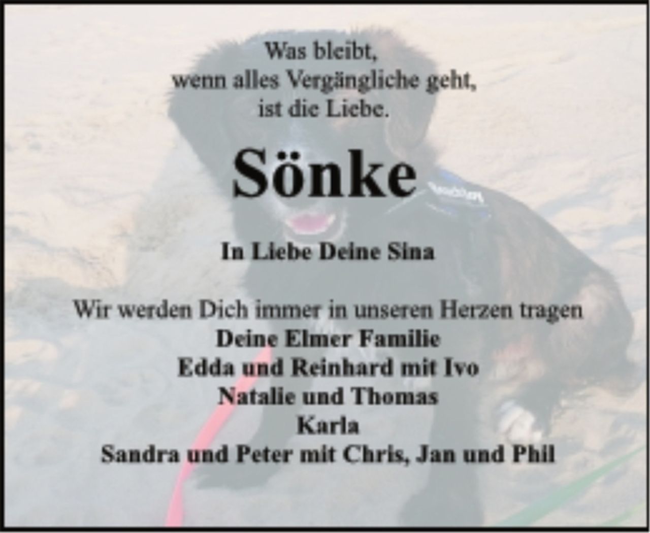 <p>Was bleibt,<br />wenn alles Vergängliche geht,<br />ist die Liebe.<br />Sönke<br />In Liebe Deine Sina<br />Wir werden Dich immer in unseren Herzen tragen<br />Deine Elmer Familie<br />Edda und Reinhard mit Ivo<br />Natalie und Thomas<br />Karla<br />Sandra und Peter mit Chris, Jan und Phil</p>