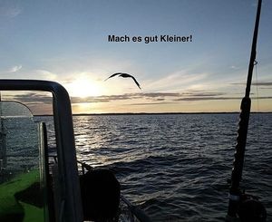 Vom User ausgewähltes Bild