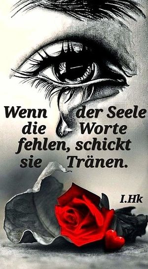Vom User ausgewähltes Bild
