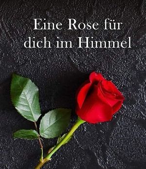Vom User ausgewähltes Bild