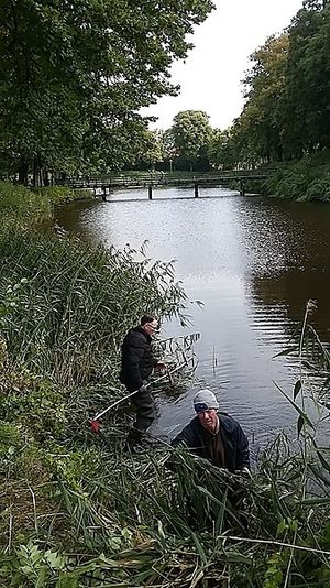 Vom User ausgewähltes Bild