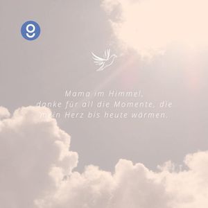 Vom User ausgewähltes Bild