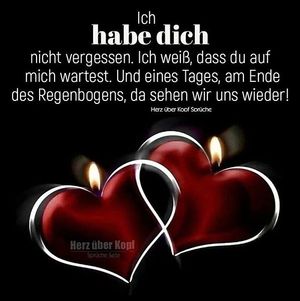 Vom User ausgewähltes Bild