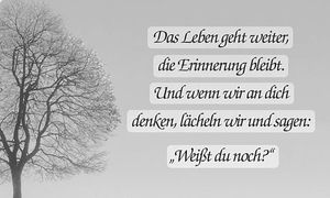 Vom User ausgewähltes Bild