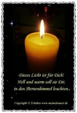 Vom User ausgewähltes Bild