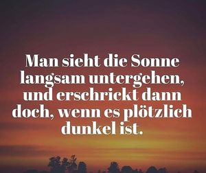 Vom User ausgewähltes Bild