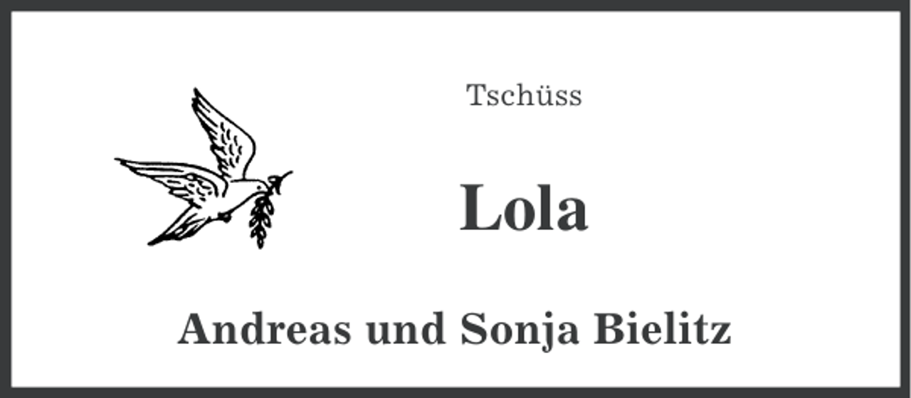<p>Tschüss</p>
<p>Lola<br />Andreas und Sonja Bielitz</p>